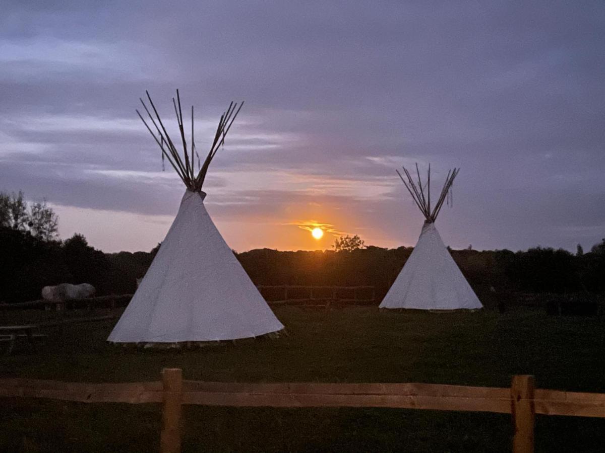 Terra-Tipike, Tipi A La Ferme Entre Terre Et Mer Trébry 외부 사진